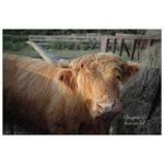 "One Horned Highland Cow" Canvas Print