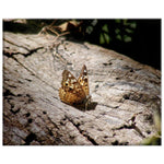 "Basking Butterfly" Canvas Print