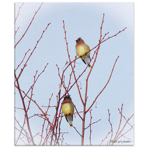 "Birds Of a Feather" Canvas Print