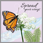 "Spread Your Wings"-Woman's Fine Jersey T-Shirt