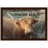 "One Horned Highland Uni-Cow" Premium Semi-Glossy Wooden Framed Poster