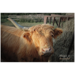 "One Horned Highland Uni-Cow"–Wood Print