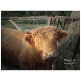 "One Horned Highland Uni-Cow"–Wood Print
