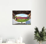 "The Red Gem of West Montrose" Canvas Print